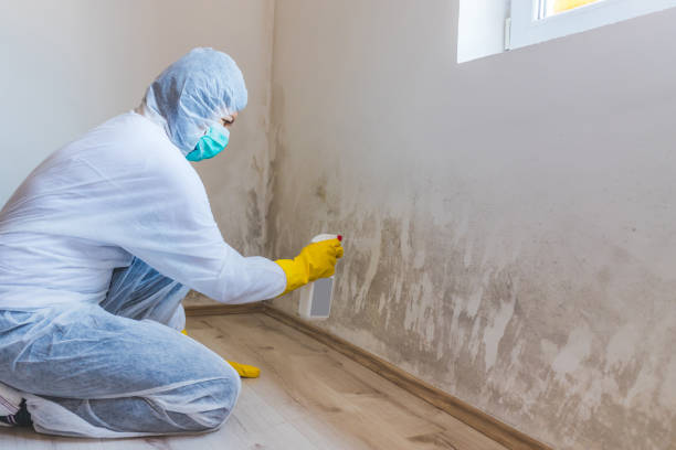 Mold Remediation specialist working in Ebensburg